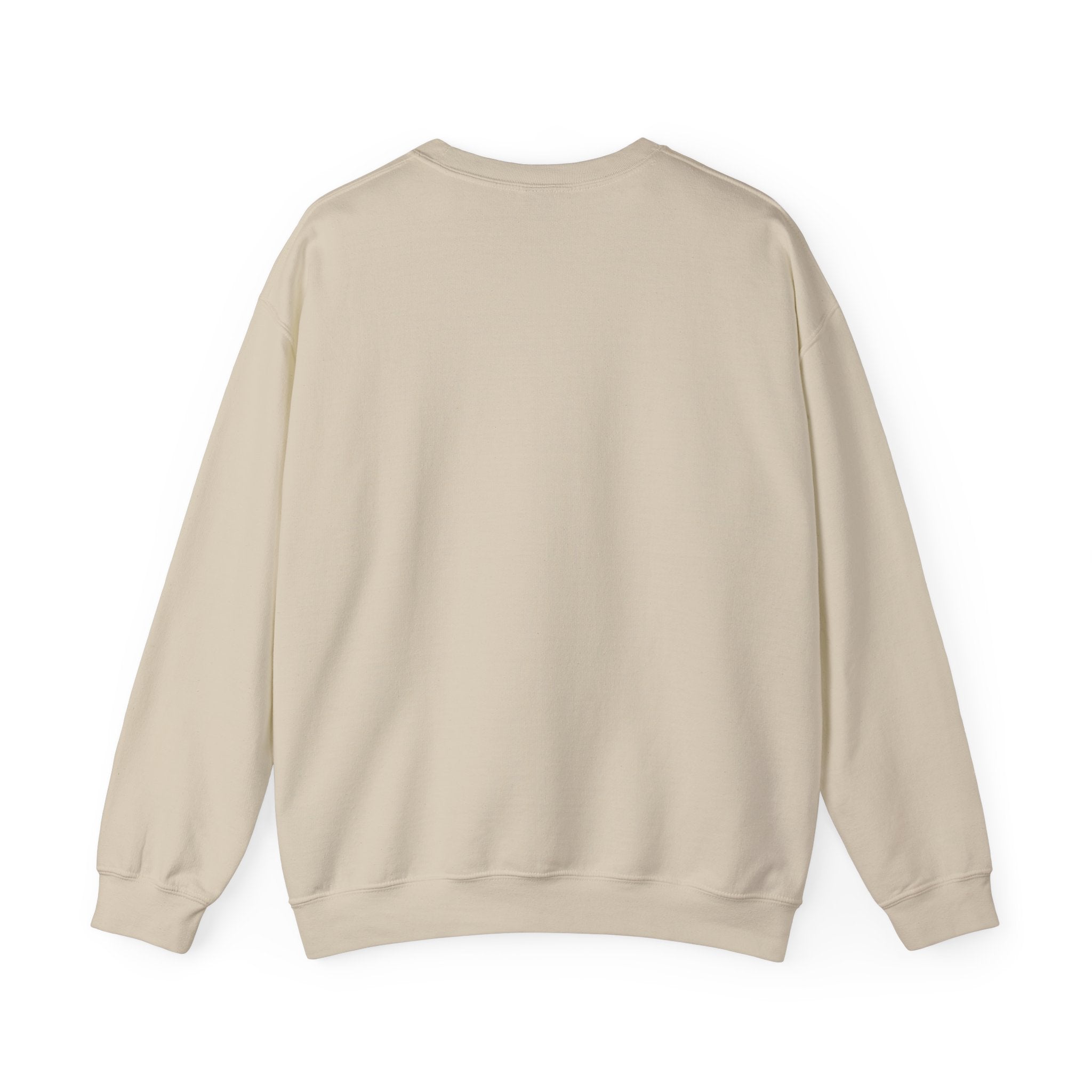 Back to School Rundhals-Sweatshirt, Unisex-Sweatshirt, Leichter Pullover, Schulkleidung, Lehrergeschenk, Trendige Mode