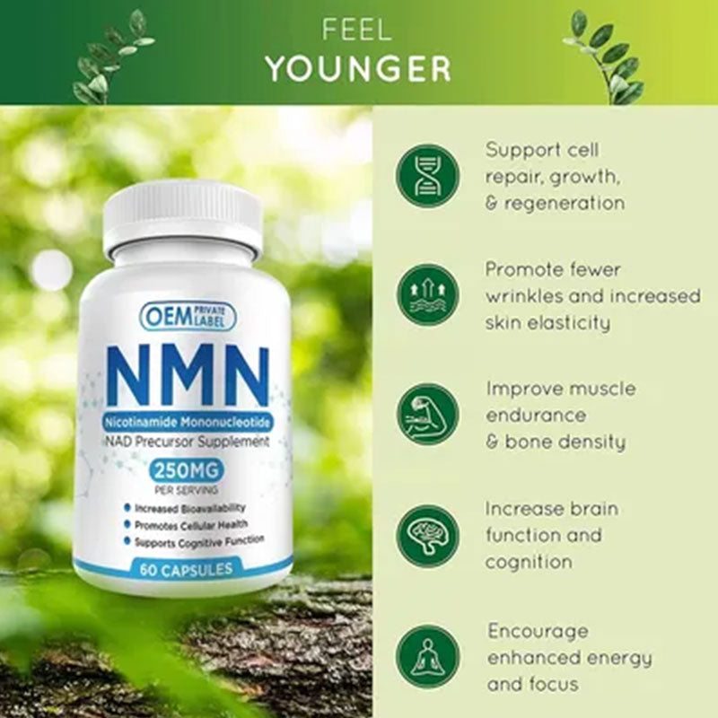 N.M.N Kapseln Anti-Aging Kapseln Nicotinamid-Mononukleotid Kapseln