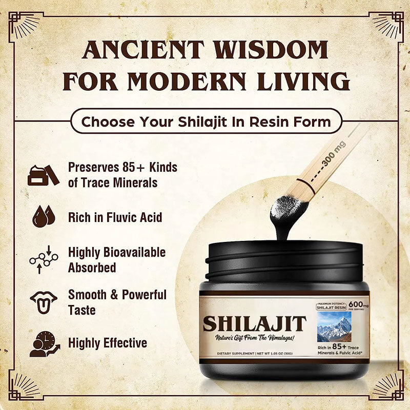 Shilajit-Harzsalbe