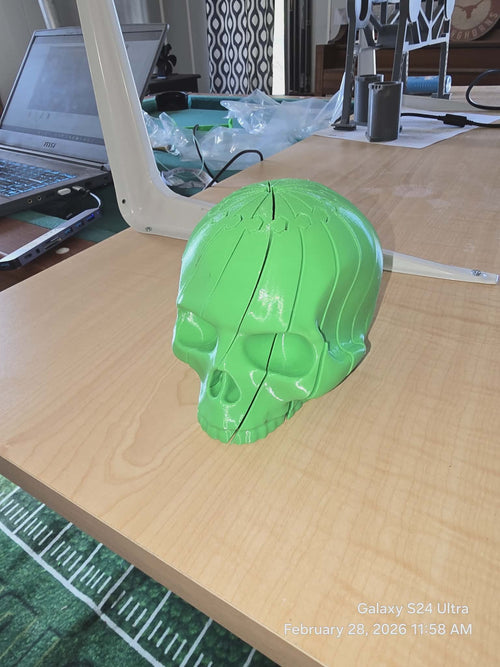 Large Skeleton Twist toy