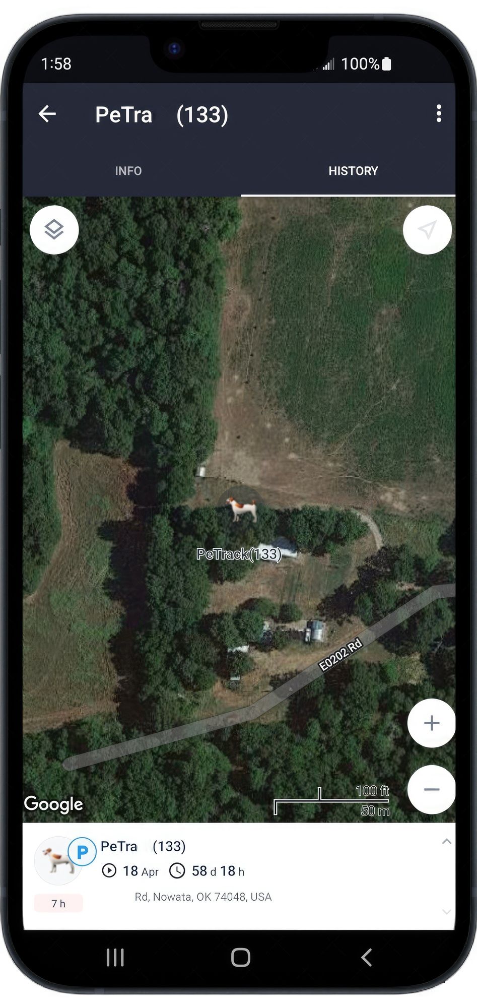 Haustier schützen mit GPS-Hundehalsband-Tracker + Telefon-App Größe:M