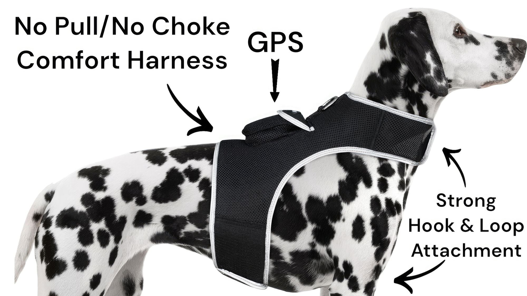 Halsband wiederaufladbare tragbare GPS-Ortungsgeräte für Haustiere GSM-Locator Größe:S