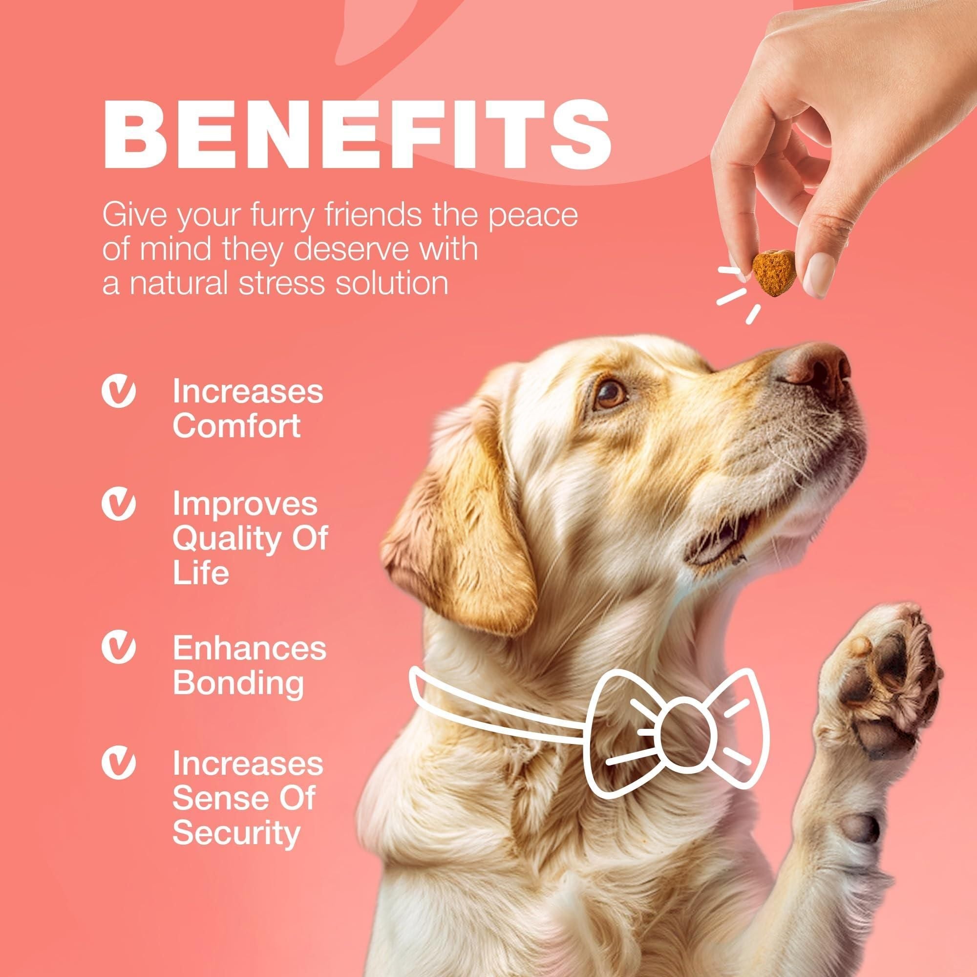 Comprimés à croquer anti-puces et tiques pour chiens Prévention des puces et tiques pour chiens Friandises à mâcher naturelles anti-puces et tiques pour chiens Complément de soutien immunitaire