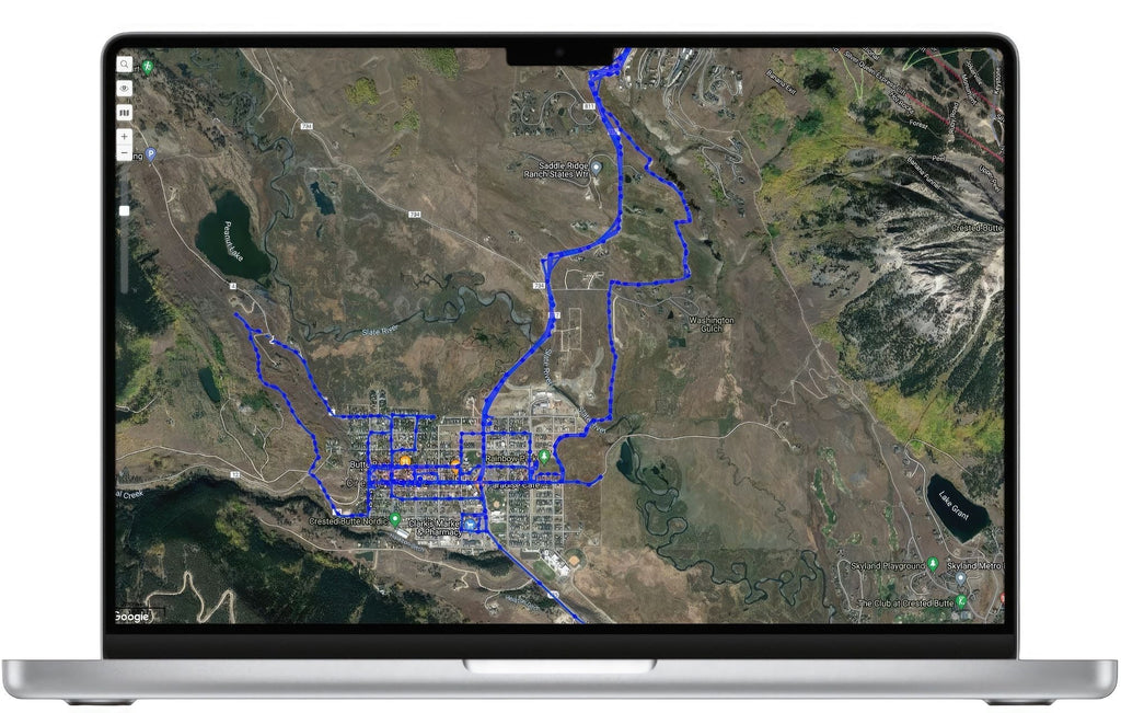 Localisateur GPS en temps réel pour animaux de compagnie, monté sur collier, portable et rechargeable Taille:L
