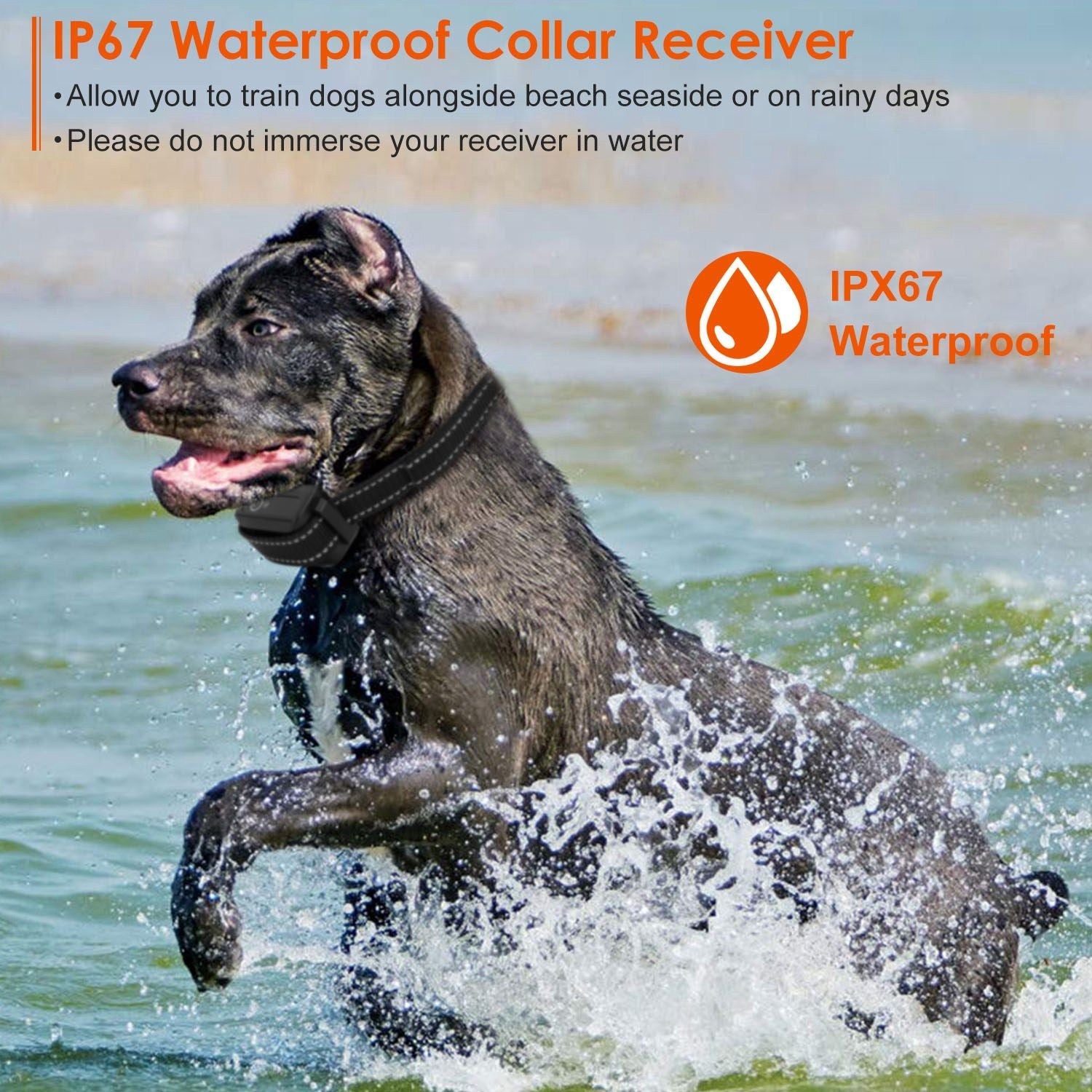 Ferntrainer für Hunde – 3280FT wasserdicht mit Vibrations-, Piepton- und Schockfunktionen