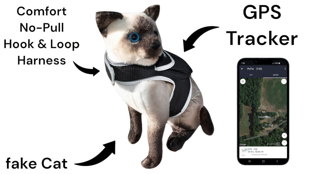 Haustier schützen mit GPS-Hundehalsband-Tracker + Telefon-App Größe:M