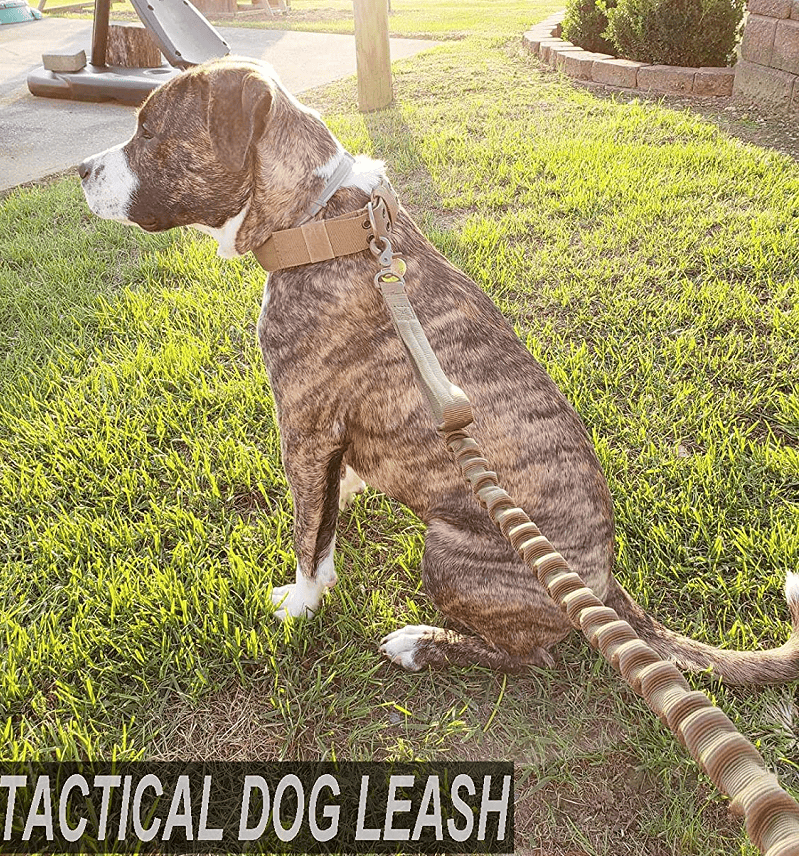 Hundeleine; Bungee-Hundeleine, taktische Hundeleine, verstellbare taktische Nylonleine für Hunde, taktische Hundeleine mit Schnellverschluss und 2 Kontrollgriffen; Bungee-Gurt