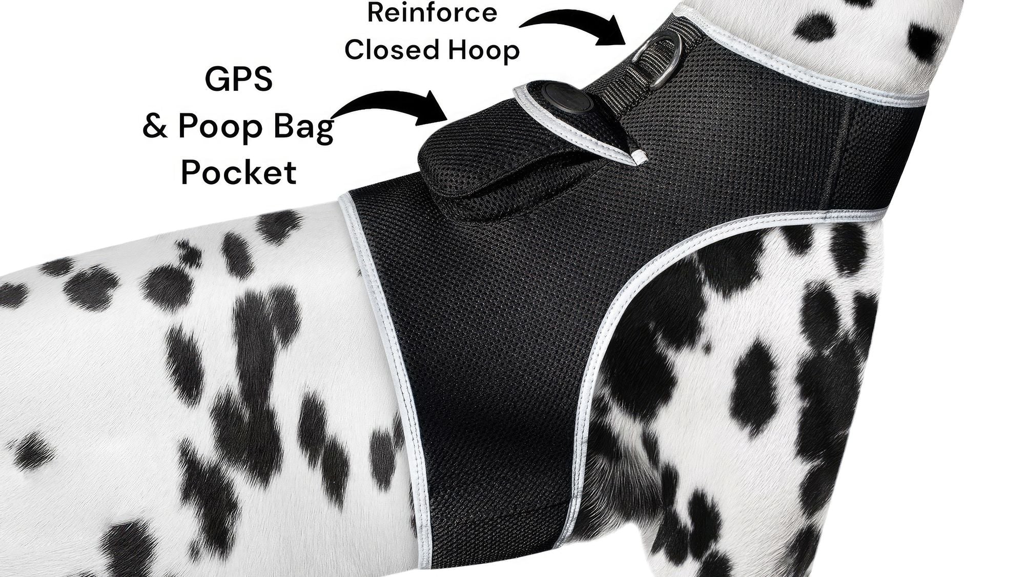 Localisateur GPS en temps réel pour animaux de compagnie, monté sur collier, portable et rechargeable Taille:L