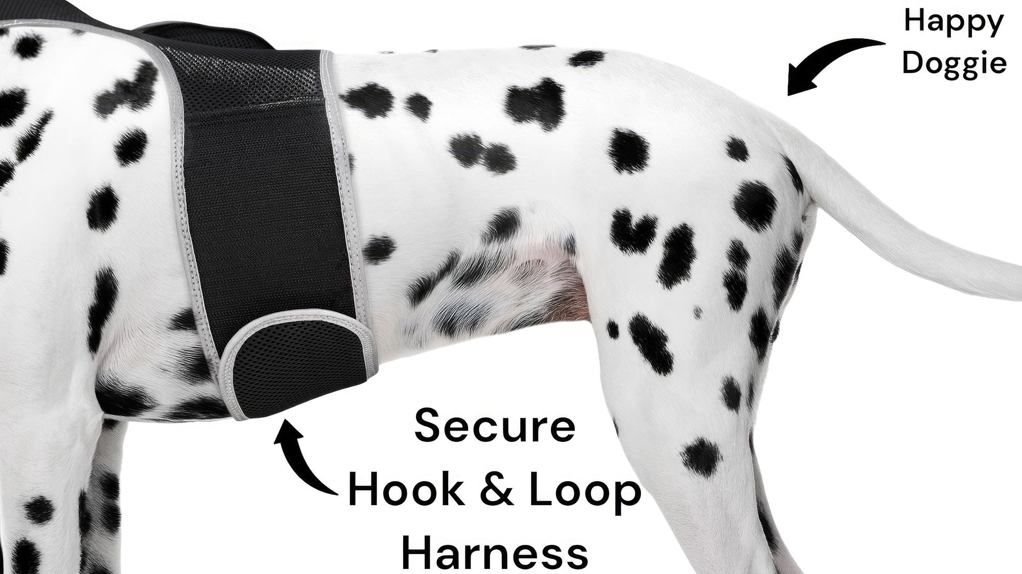 Haustier schützen mit GPS-Hundehalsband-Tracker + Telefon-App Größe:M