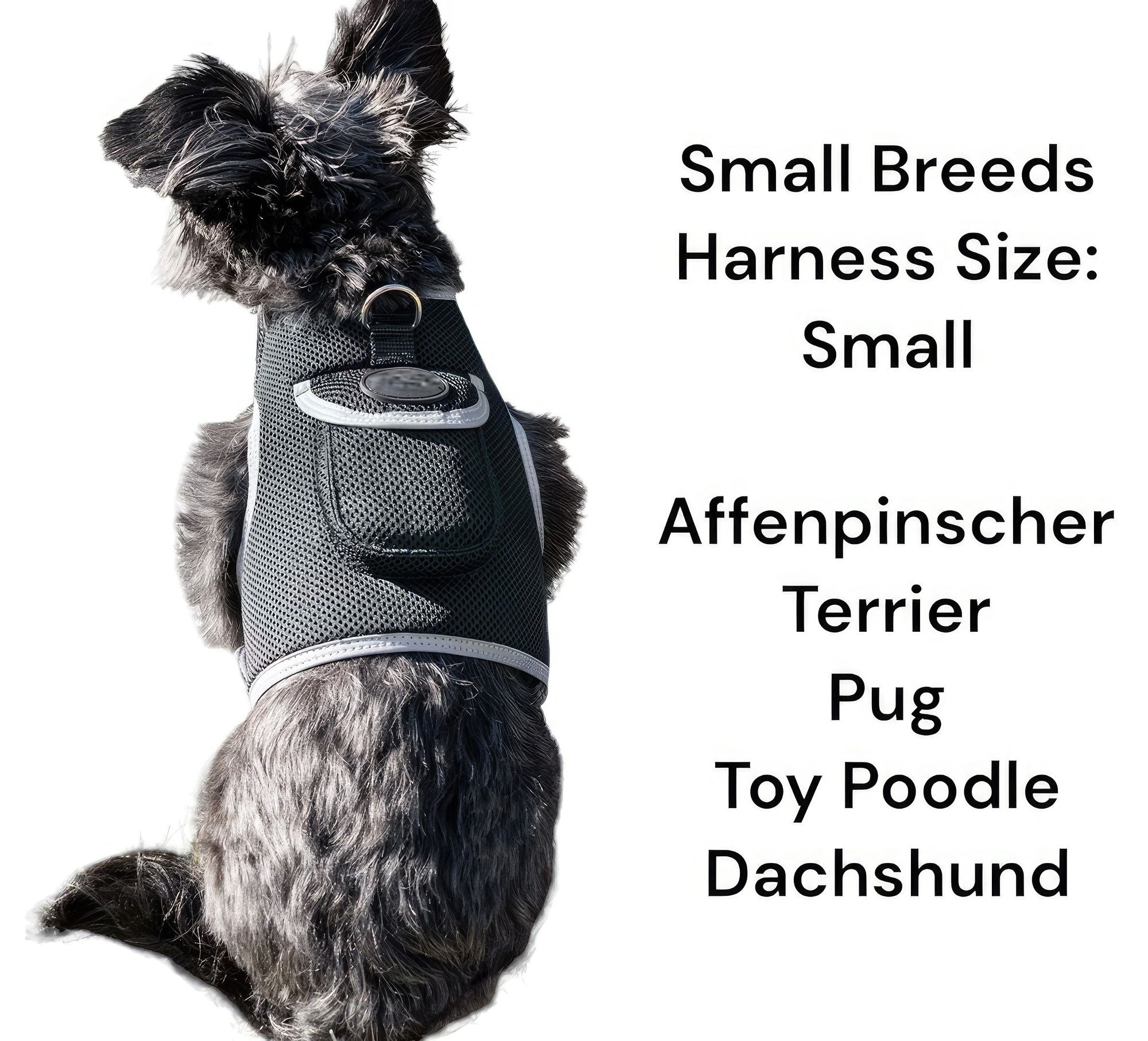 Haustier schützen mit GPS-Hundehalsband-Tracker + Telefon-App Größe:M
