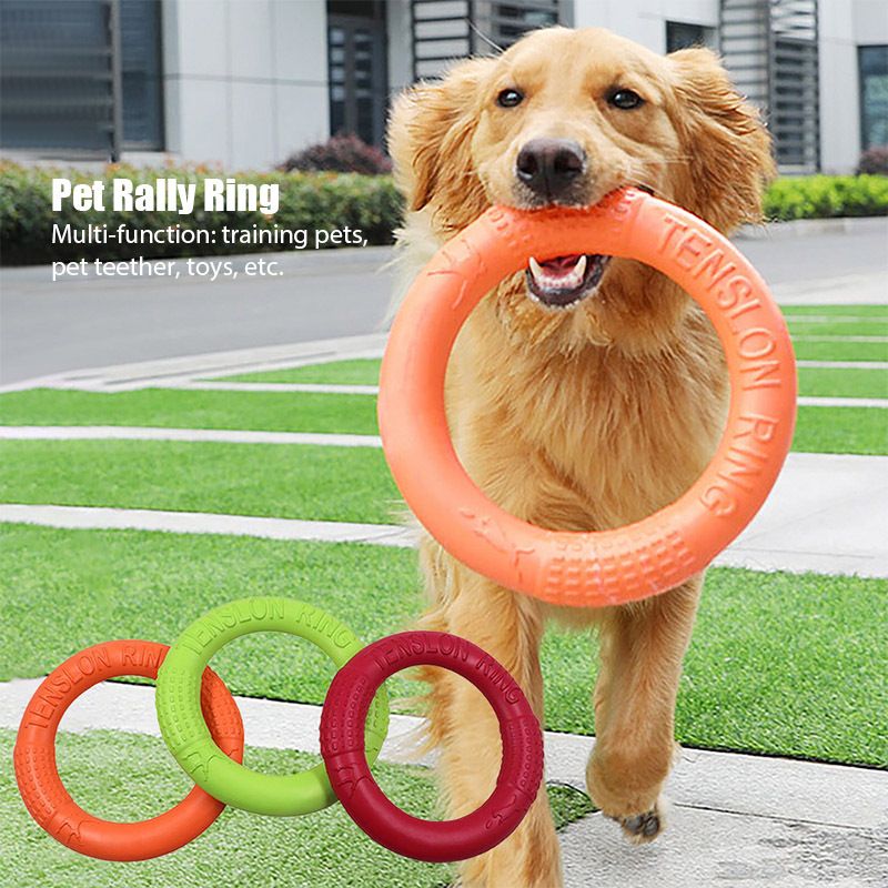 Hundetrainingsspielzeug; Outdoor Schwimmende Fliegende Hundescheibe Interaktives Spielzeug; Für Hunde Geeignet
