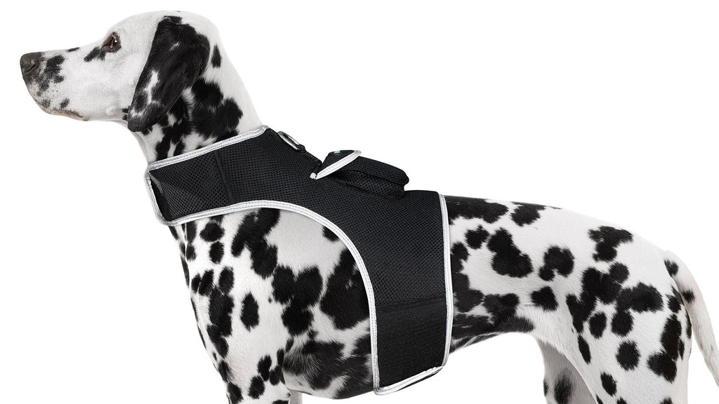 Localisateur GPS en temps réel pour animaux de compagnie, monté sur collier, portable et rechargeable Taille:L