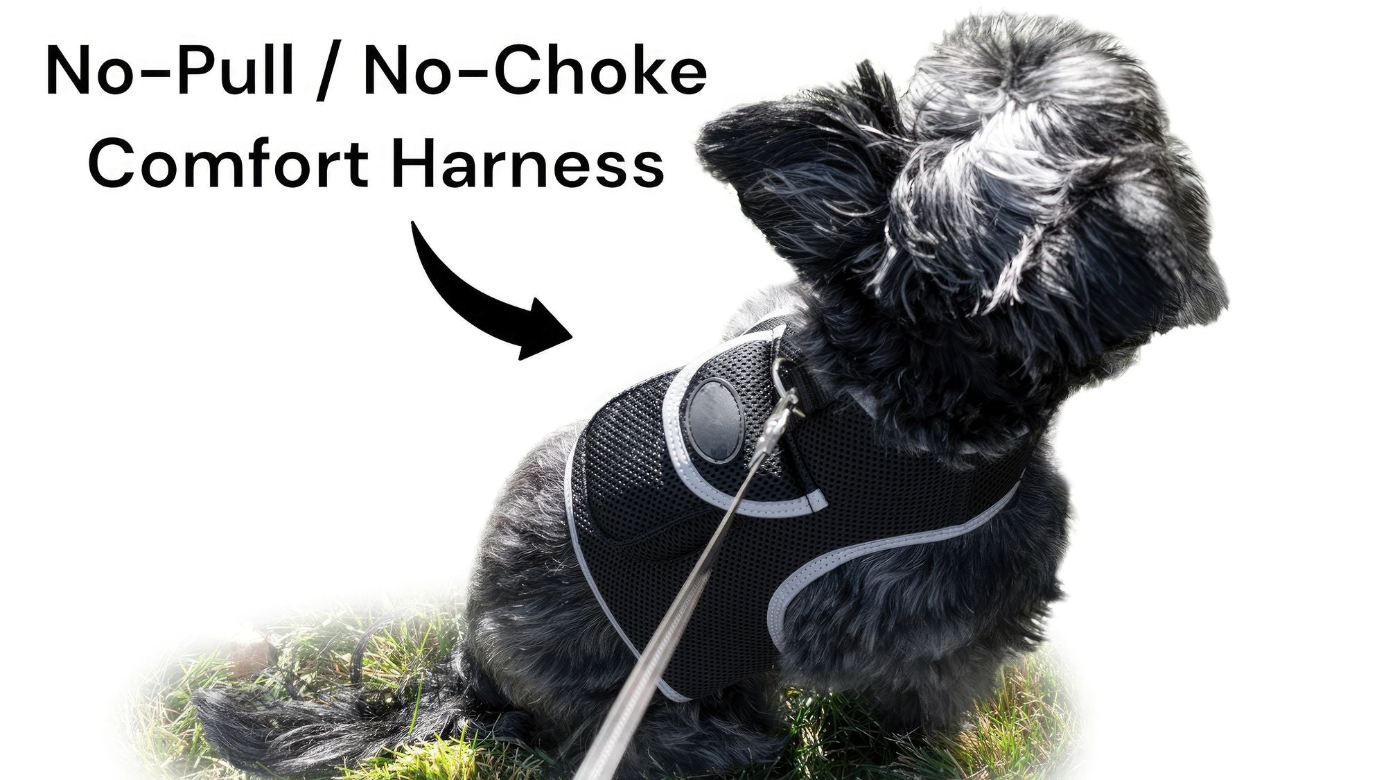 Konsistentes Echtzeit Mini Katzen Hunde GPS-Ortungshalsband Wasserdichtes Gerät Größe:L