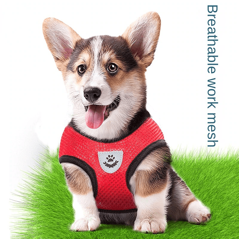 Katze Hund Haustier Geschirr Verstellbare Kontrollweste Hunde Reflektierend S M L XL Leine