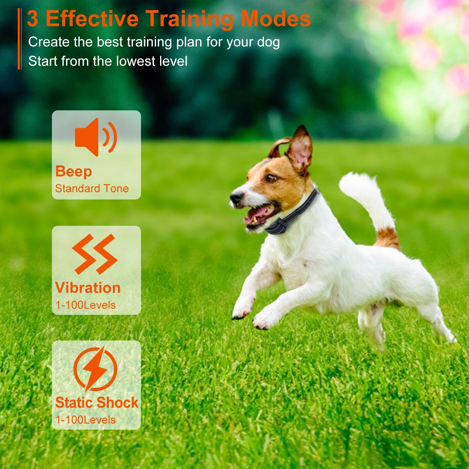 Ferntrainer für Hunde – 3280FT wasserdicht mit Vibrations-, Piepton- und Schockfunktionen