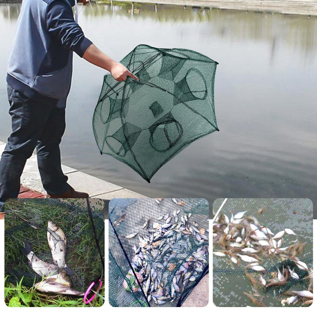 Fisch Reuse Tragbar Zusammenklappbar Fischköderfalle Garnelen Minnow Krabbenködernetz