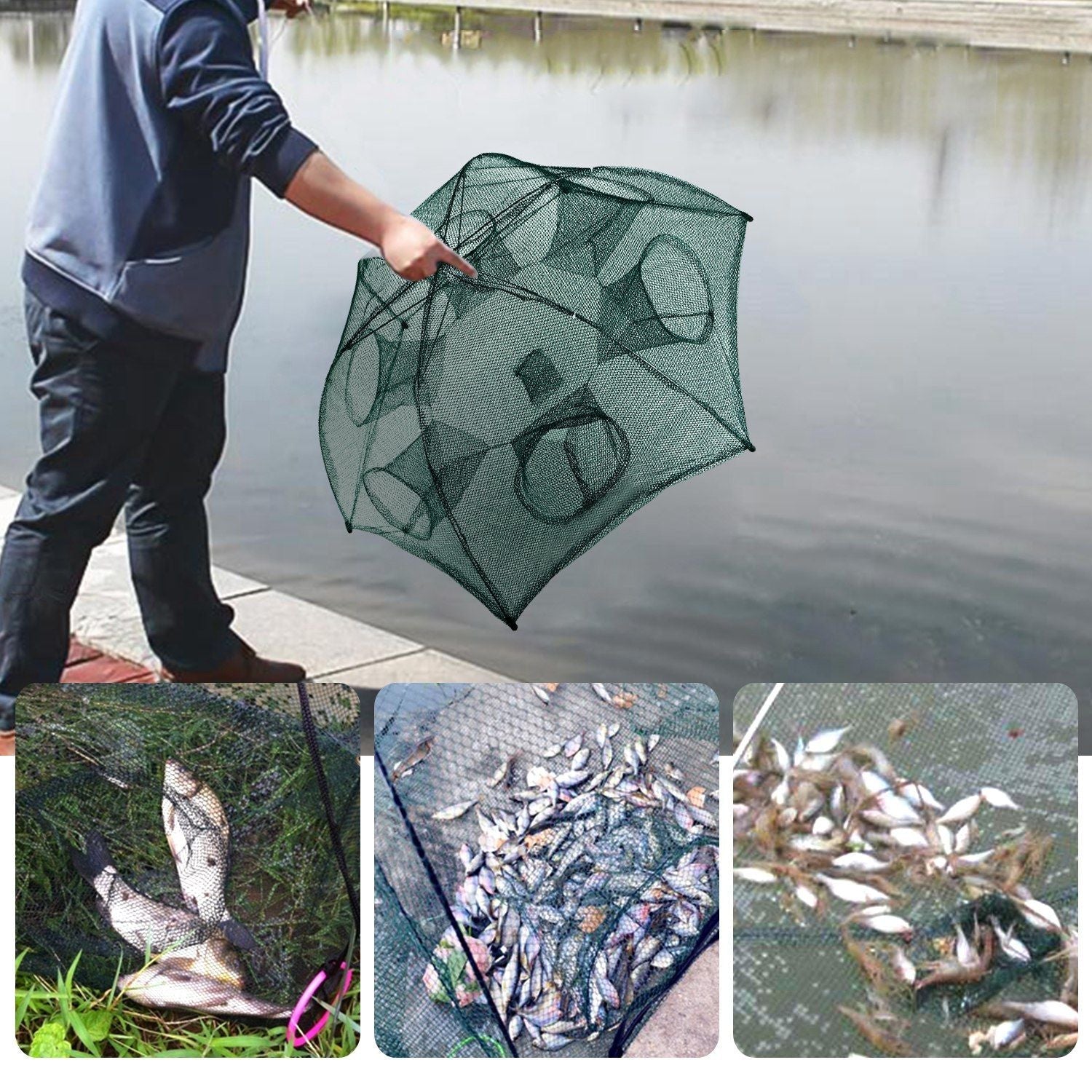 Fisch Reuse Tragbar Zusammenklappbar Fischköderfalle Garnelen Minnow Krabbenködernetz
