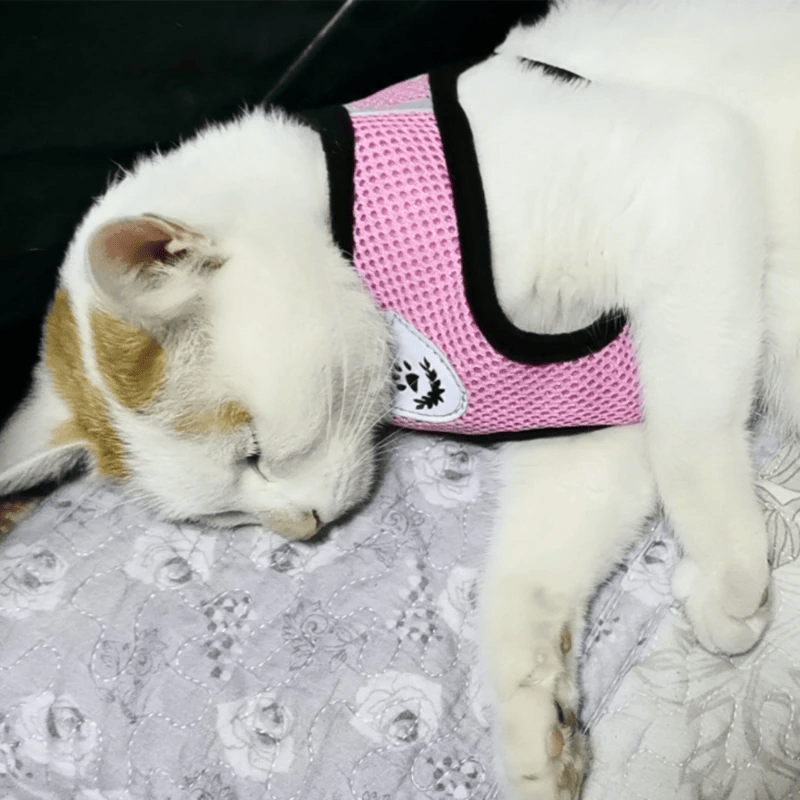 Katze Hund Haustier Geschirr Verstellbare Kontrollweste Hunde Reflektierend S M L XL Leine