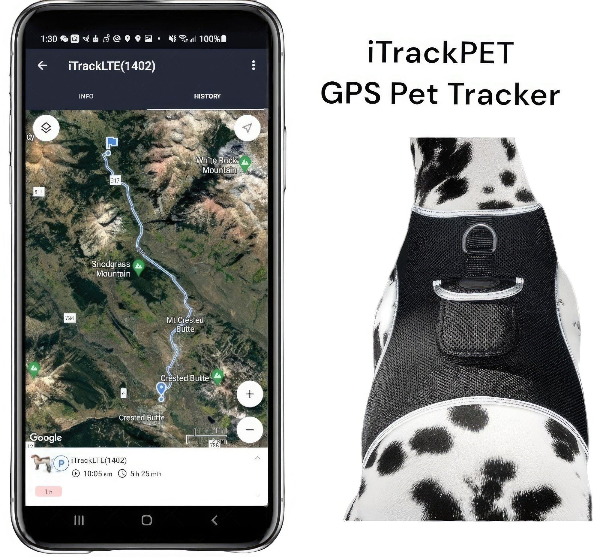 Localisateur GPS en temps réel pour animaux de compagnie, monté sur collier, portable et rechargeable Taille:L