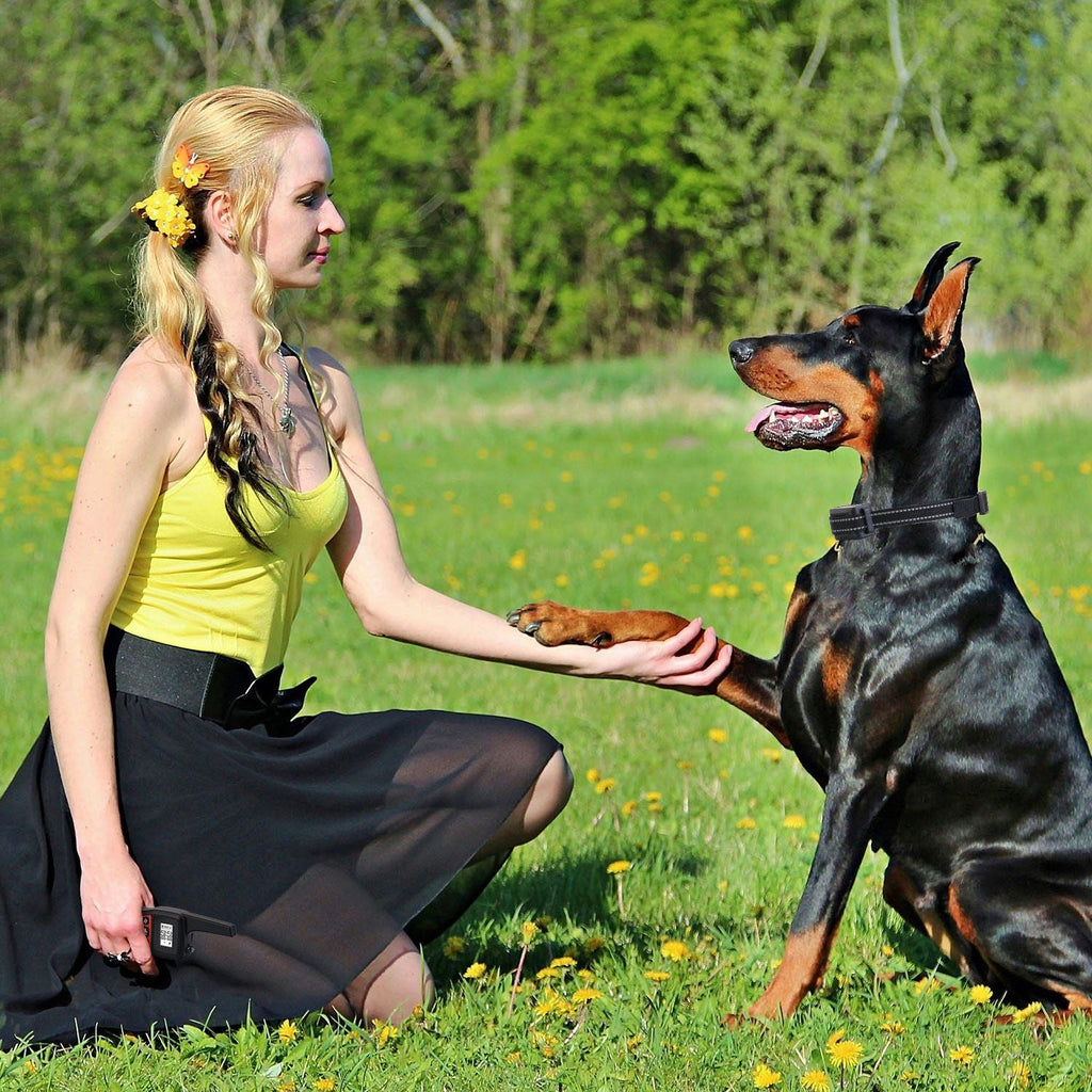 Ferntrainer für Hunde – 3280FT wasserdicht mit Vibrations-, Piepton- und Schockfunktionen