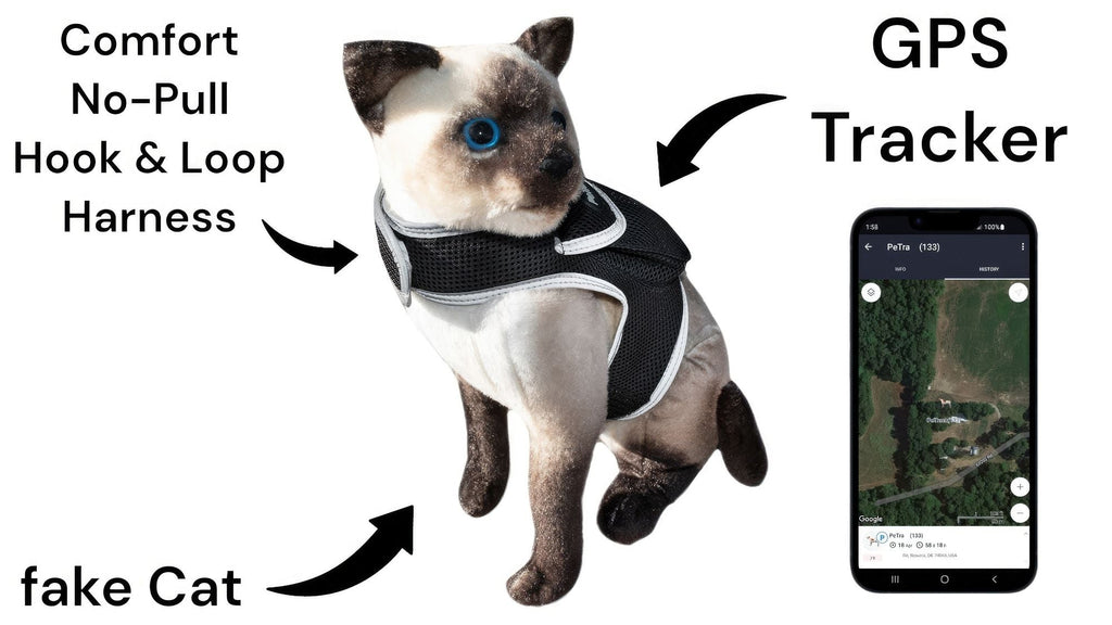 GSM GPS Tier-Tracker-Halsband, wiederaufladbar, Echtzeitüberwachung, Gadget, Größe:XXL