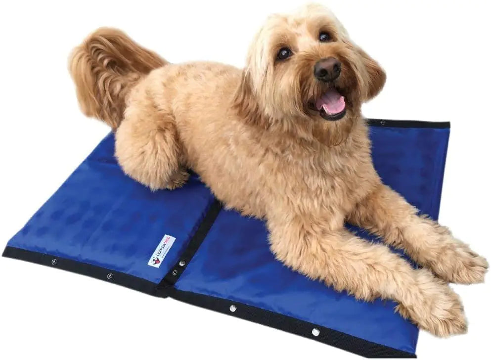 CoolerDog Kühlmatte für Hunde Hunde-Kühlungsprodukte Hydro-Kühlmatte (58,42 x 45,72 cm) (2er-Pack)